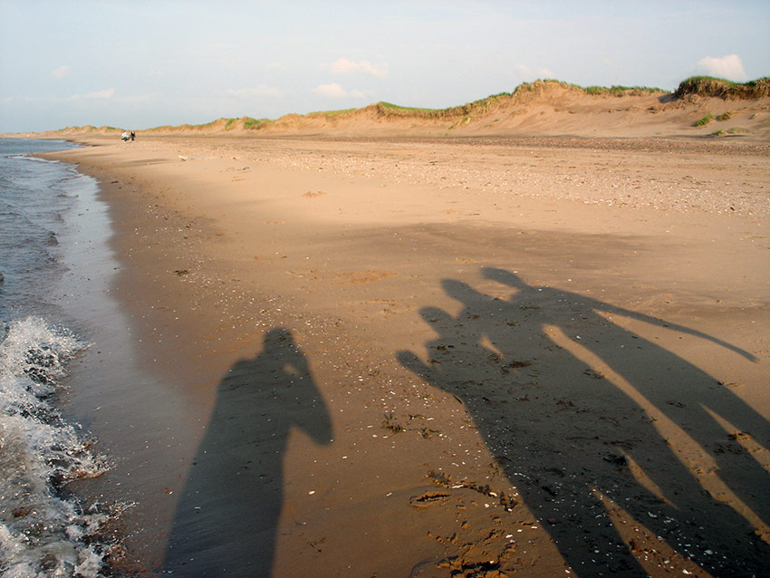Sands-and-Soils