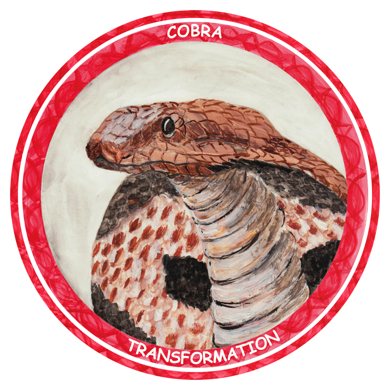 COBRA