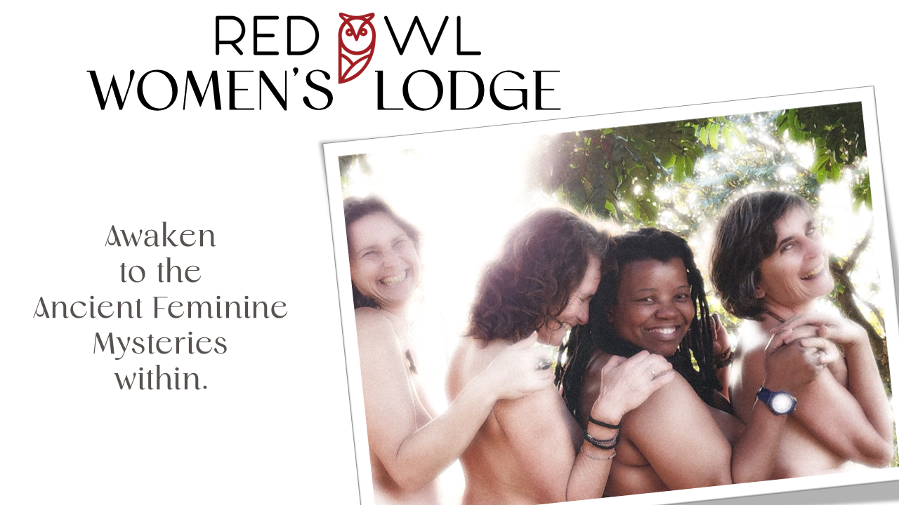 Discover Red Owl
