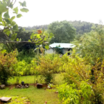 The Gardens